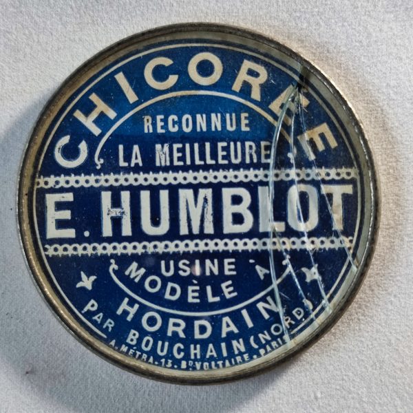 Chicorée E.Humblot